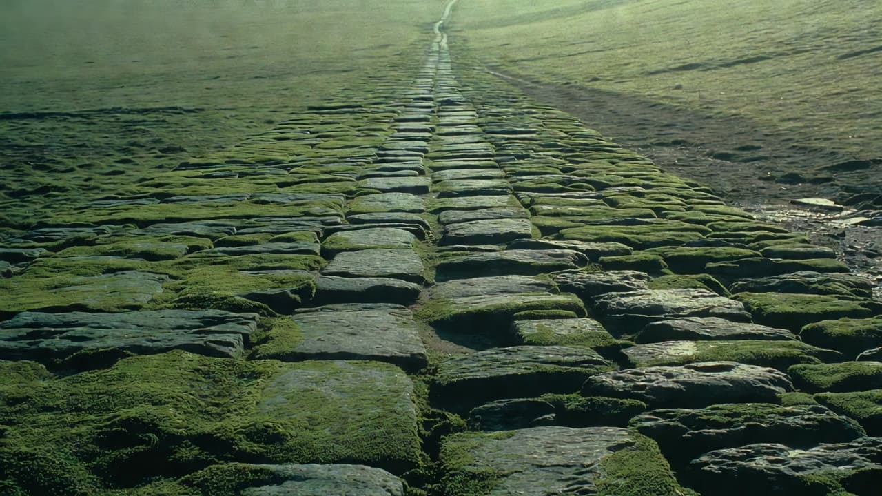 The Steady road — Forest green