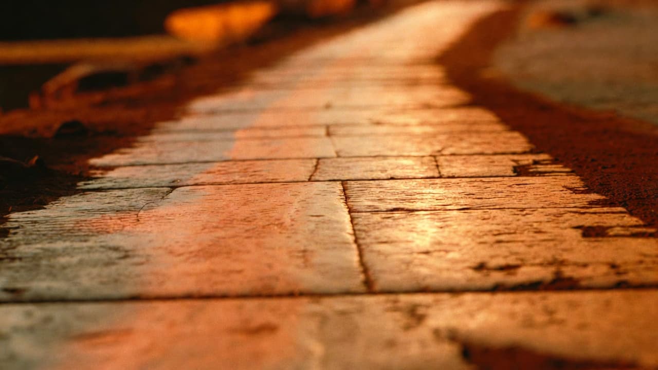 The Warm road — Amber